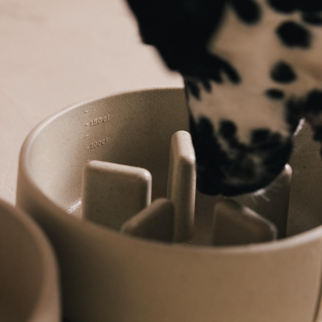 Close-up van een Dalmatiër die eet uit een PINO Anti-Schrok Voerbak