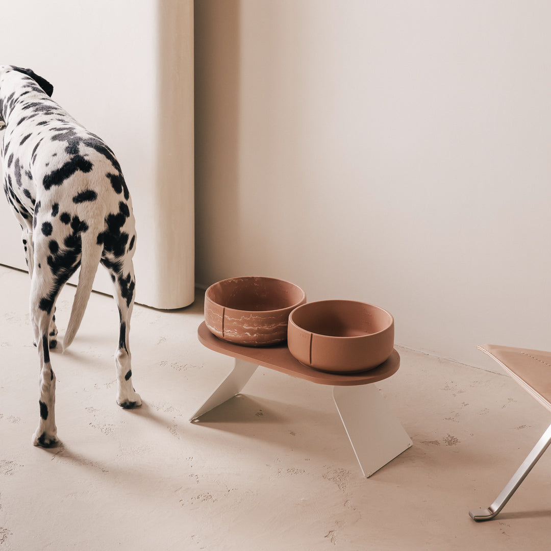 Raised Tray Set