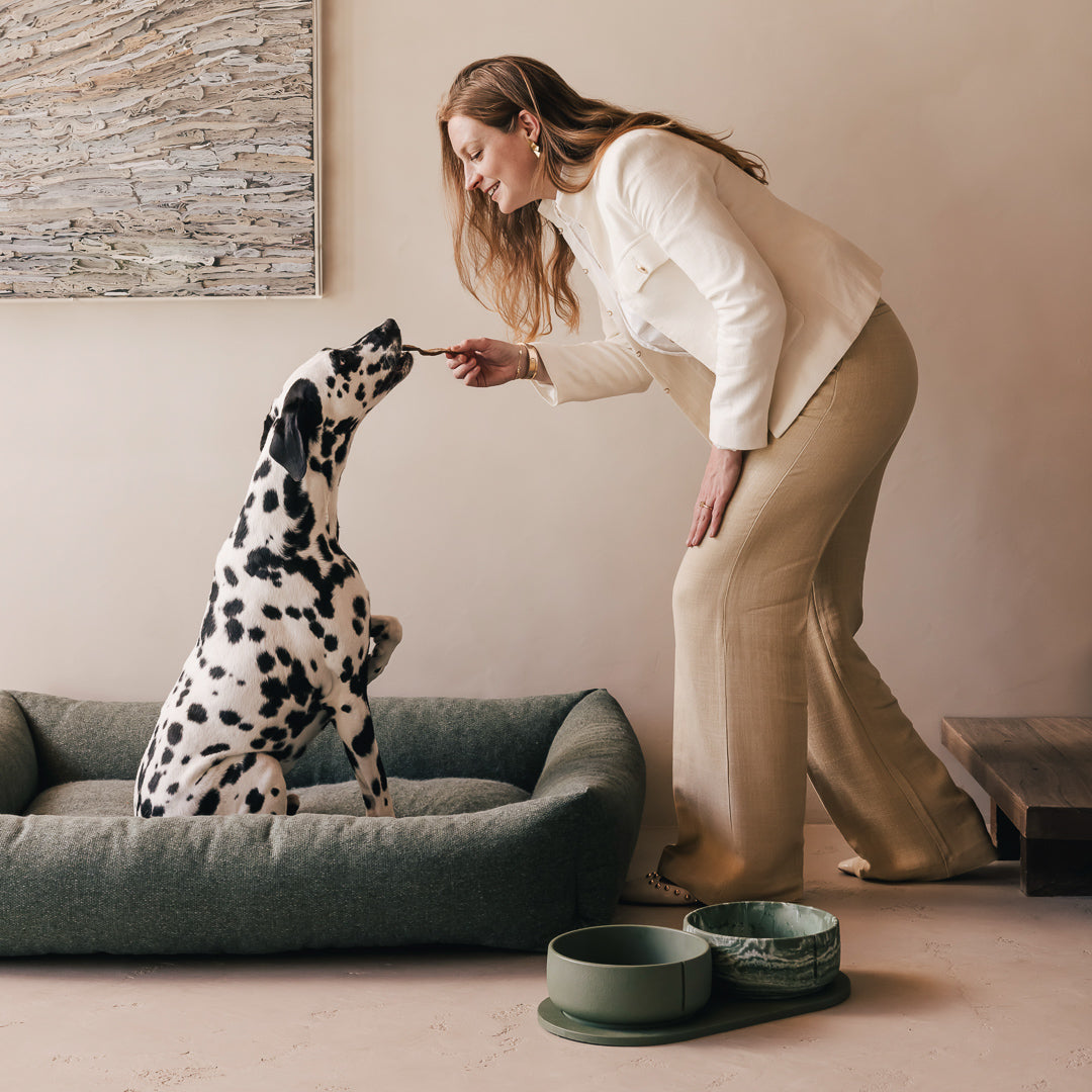Vrouw geeft een snoepje aan een Dalmatiër naast PINO Classic Voerbakken op een Plateau