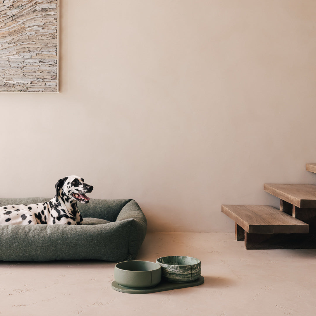 Dalmatiër ligt op een hondenmand bij PINO Classic Voerbakken op een Plateau