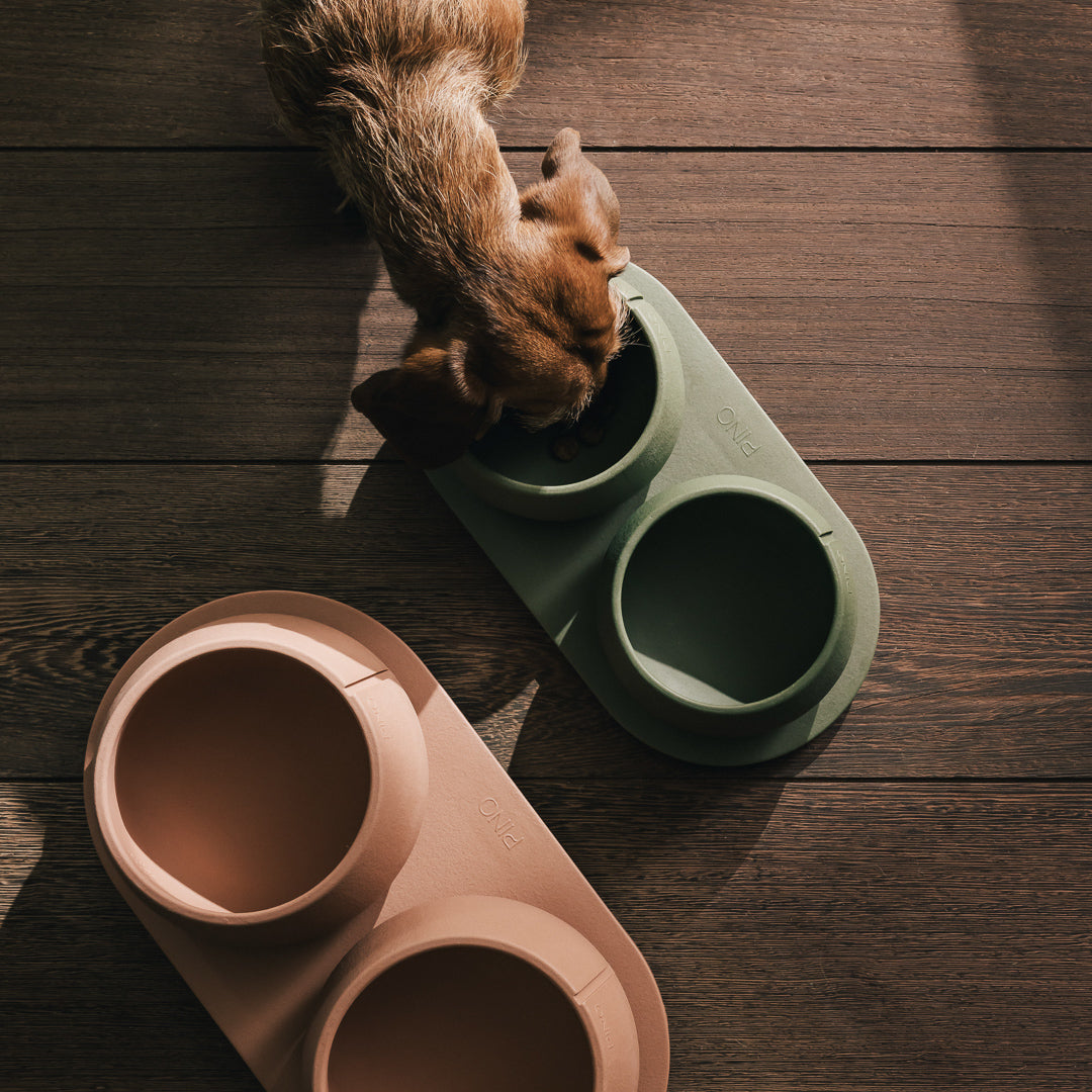 Long Ears Bowl