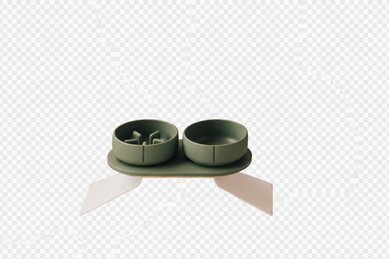 Green pet bowls on a stand