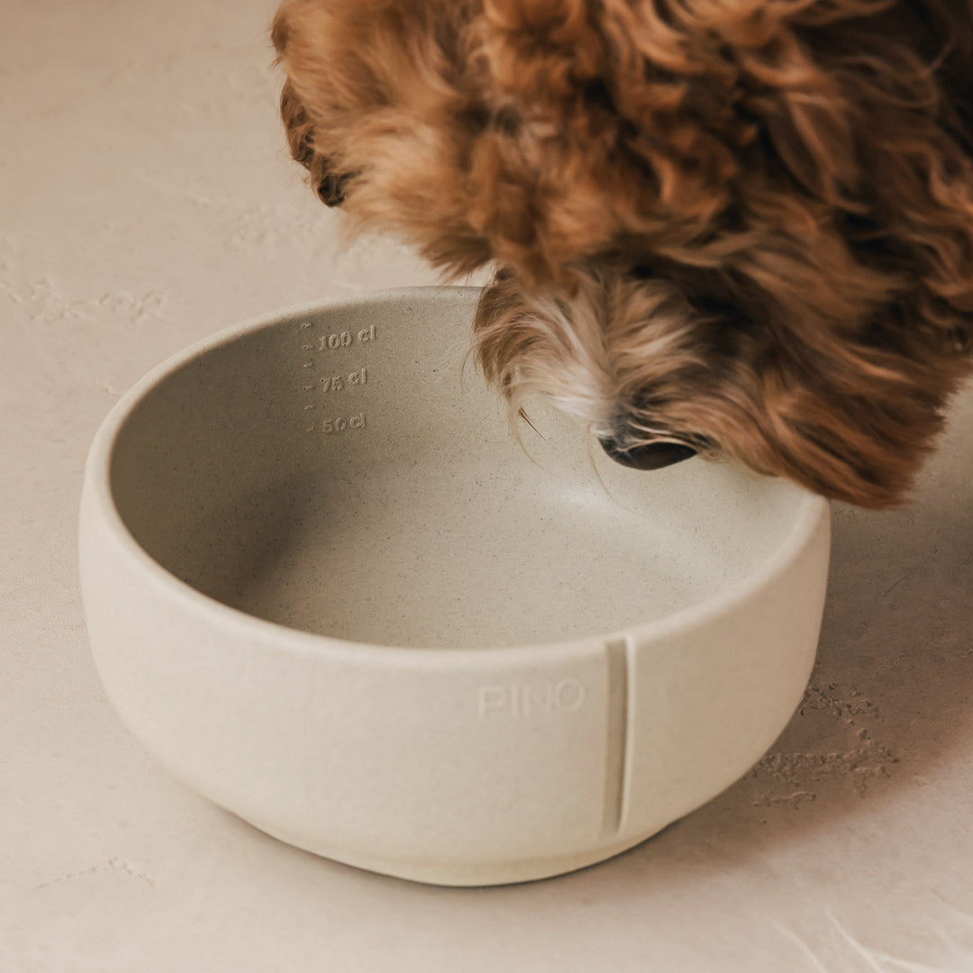 Close-up van een hond met krullende vacht die drinkt uit een PINO Classic Voerbak
