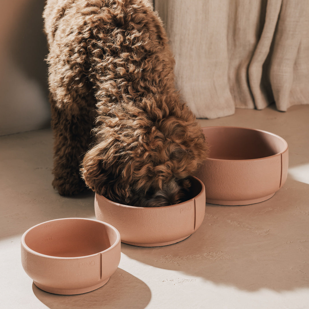 Hond met krullende vacht eet uit een PINO Classic Voerbak, met nog twee Classic Voerbakken ernaast