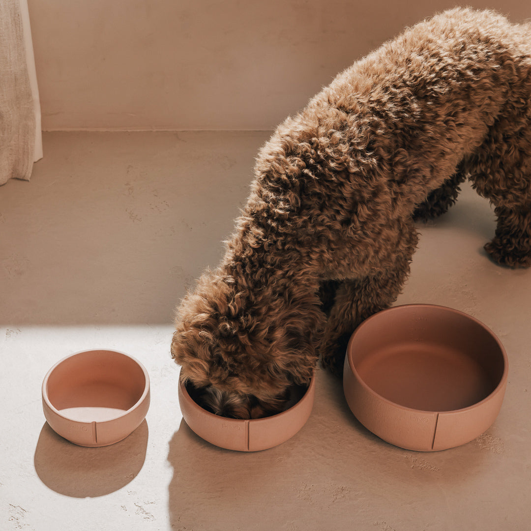 Hond met krullende vacht eet uit de middelste van drie PINO Classic Voerbakken