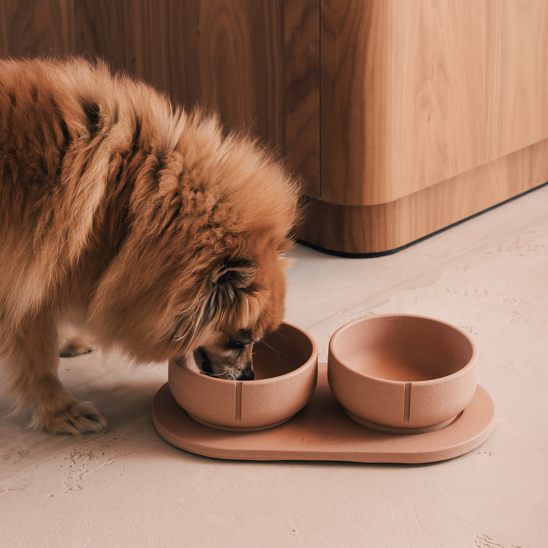 Kleine hond eet uit een PINO Classic Voerbak op een Plateau naast een houten kast