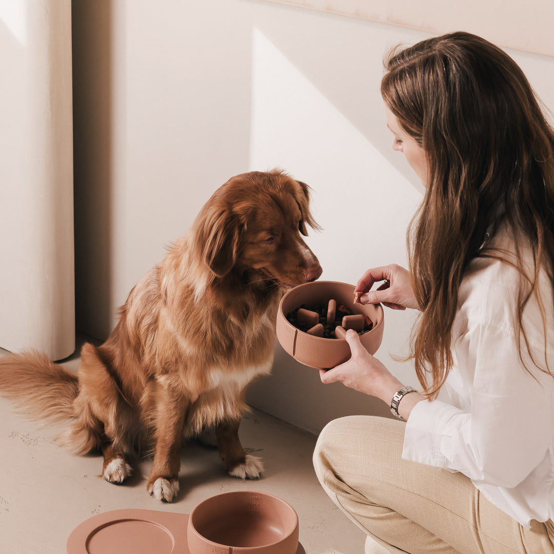 Vrouw houdt een PINO Anti-Schrok Voerbak met voer vast voor haar hond