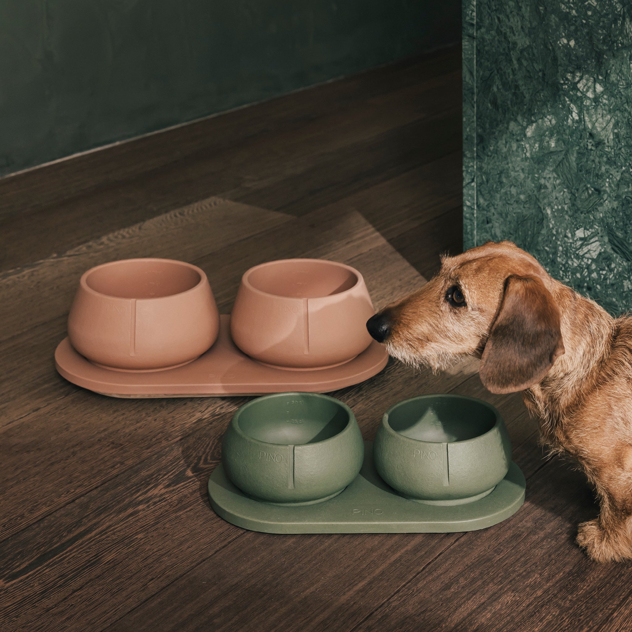 Plateau voor Honden