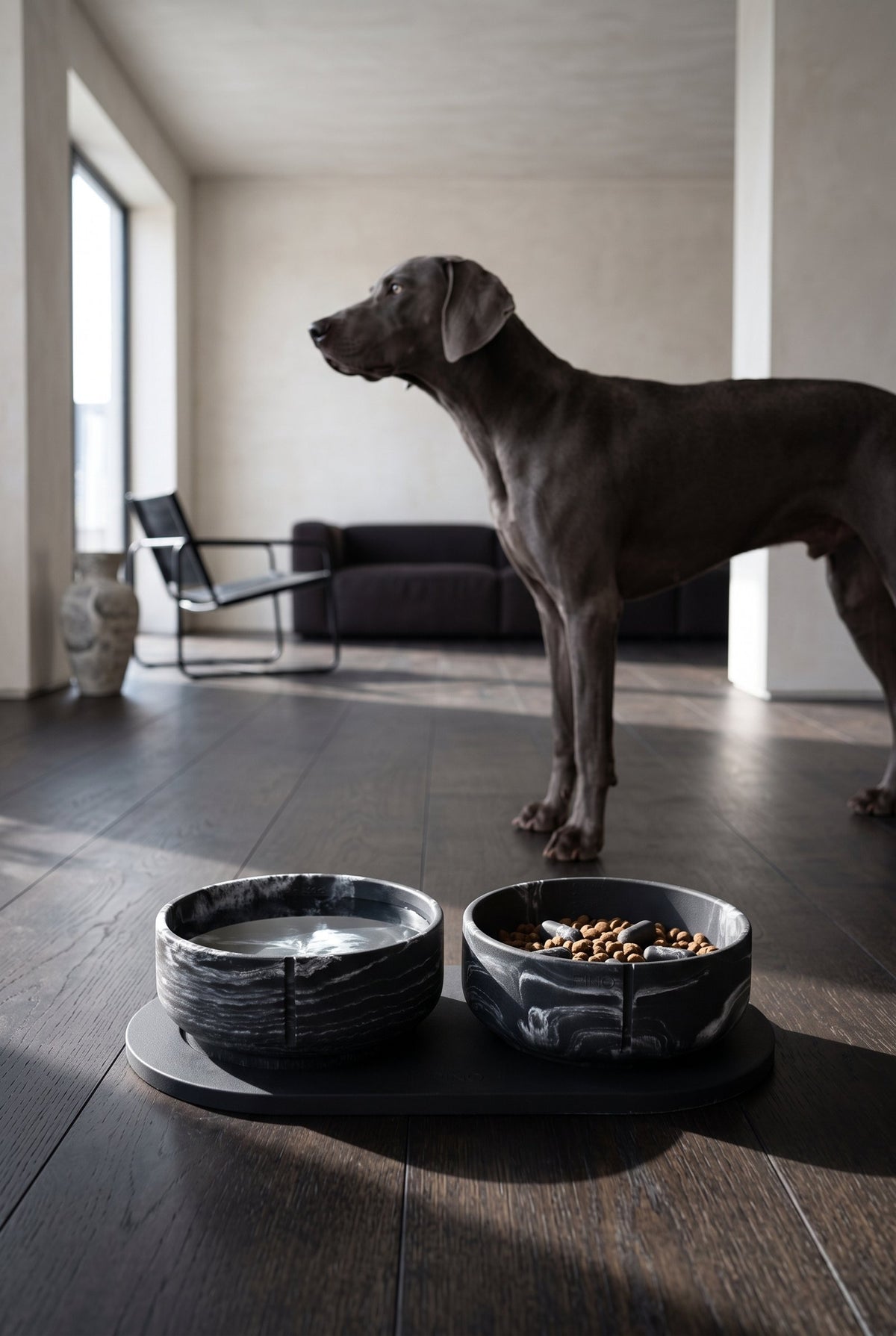 Een donkergrijze weimaraner naast twee gemarmerde Black Panther-voerbakken op een zwart plateau, op een donkere houten vloer
