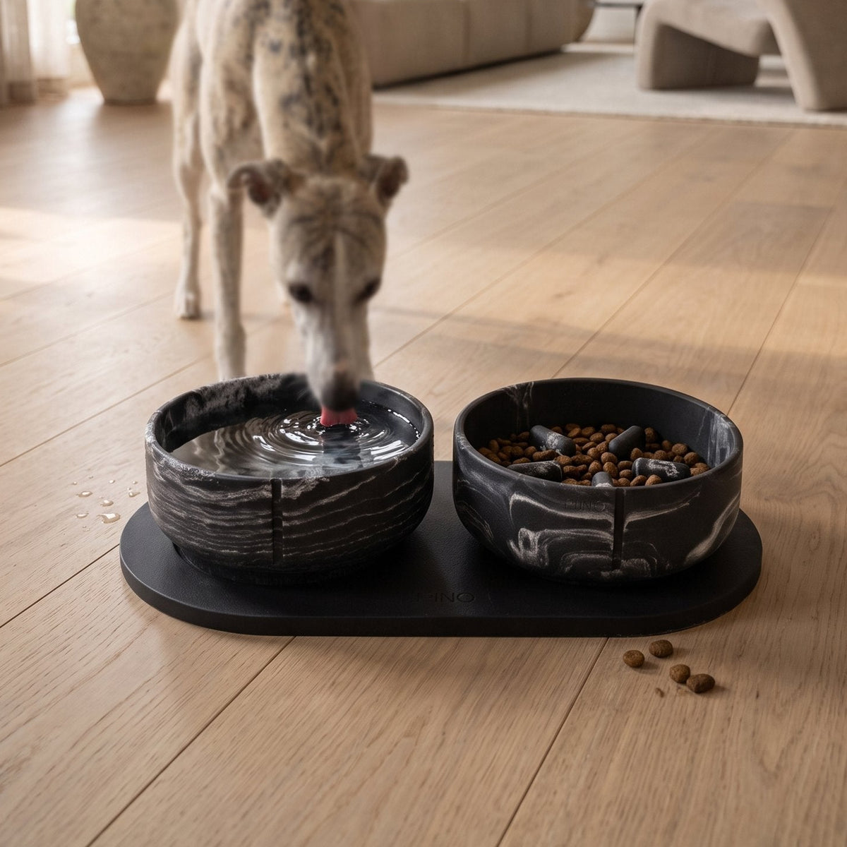 A whippet drinking from a marbled Black Panther bowl on a black tray, next to a second bowl with kibble