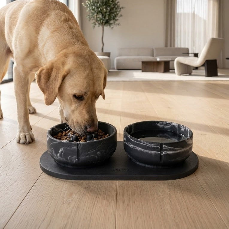 Labrador eet uit de Black Panther Anti-Schrok Voerbak naast een Classic Voerbak op het zwarte plateau