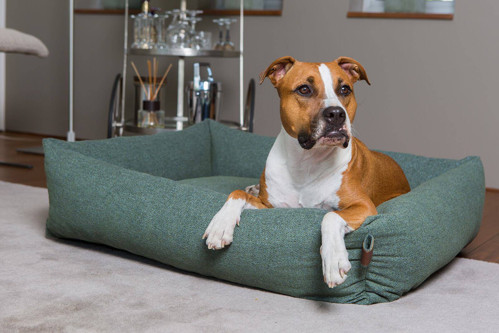 Botanical Green Dog Bed
