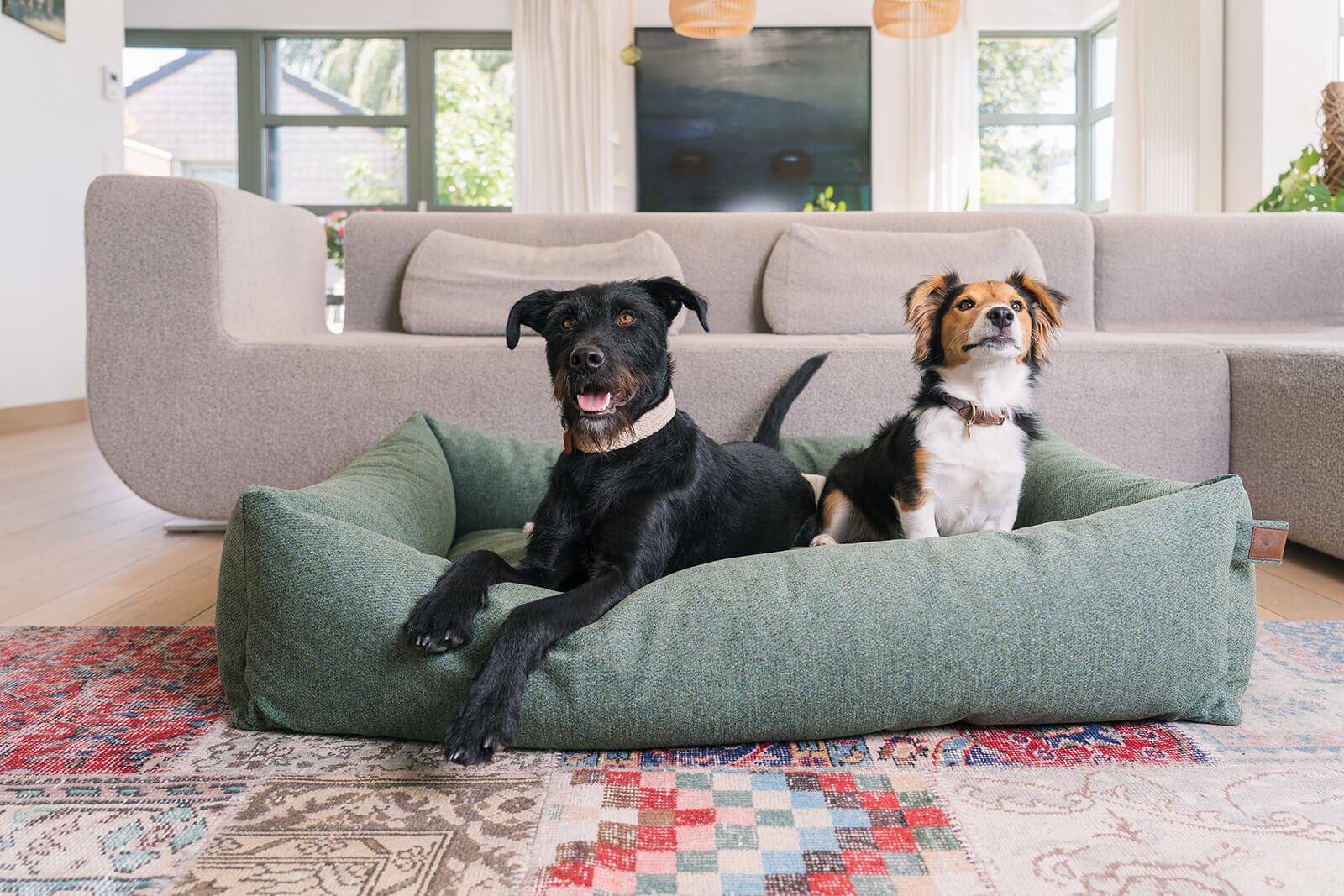 Botanical Green Dog Bed