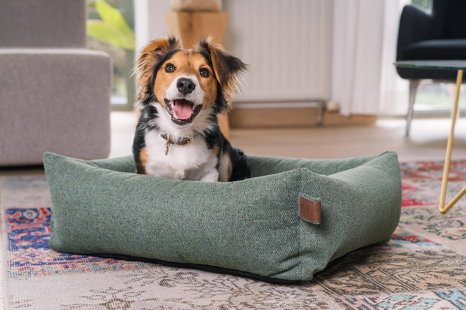 Botanical Green Dog Bed