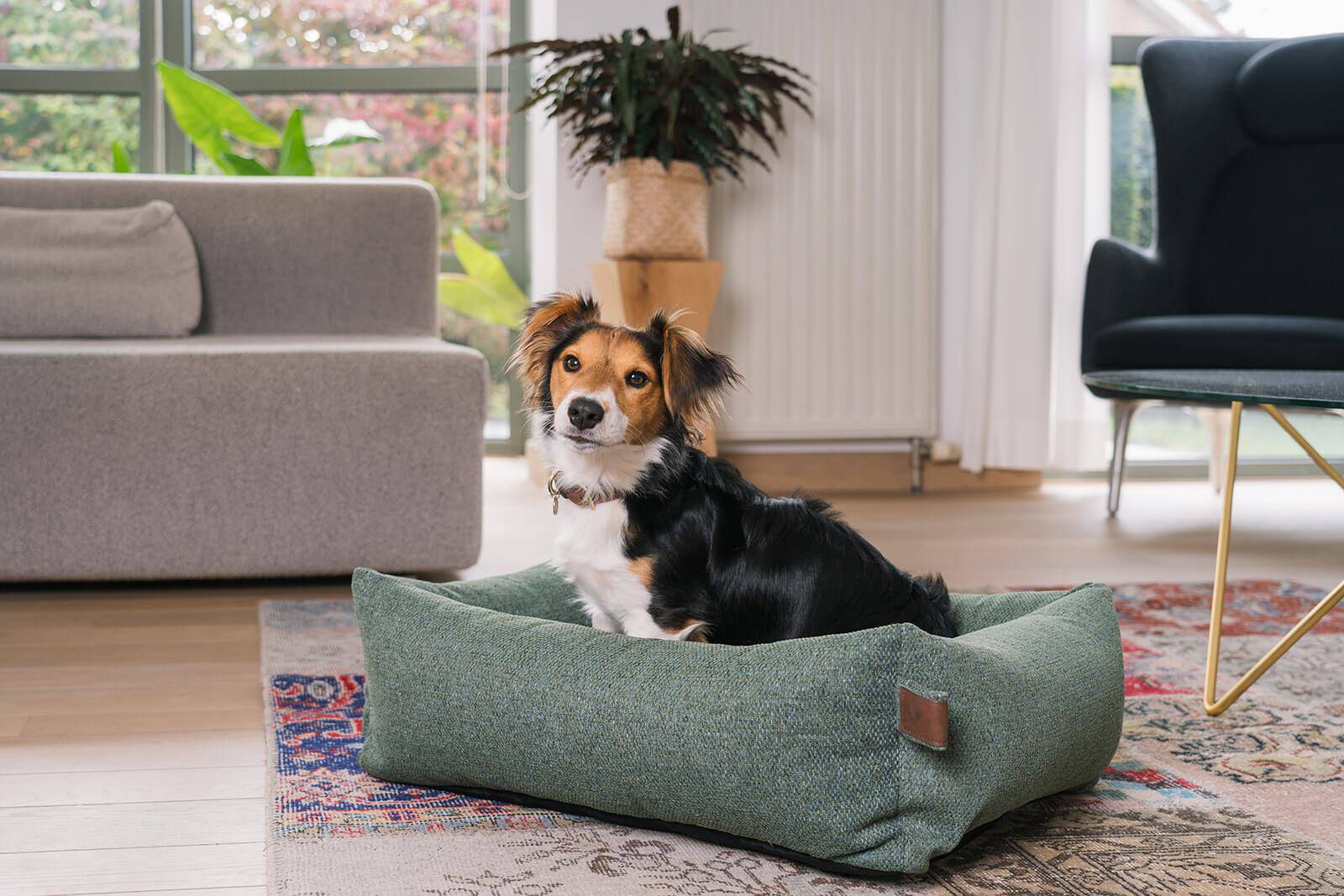 Botanical Green Dog Bed