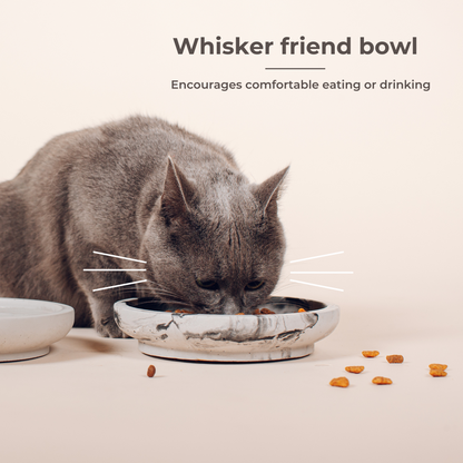 Whisker Friendly Bowls