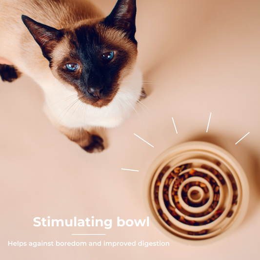 Slow Feeder & Interactive Bowls